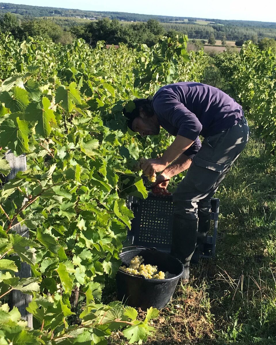 DOMAINE DE CAMBALU Degustation Vin Amboise Galerie 12