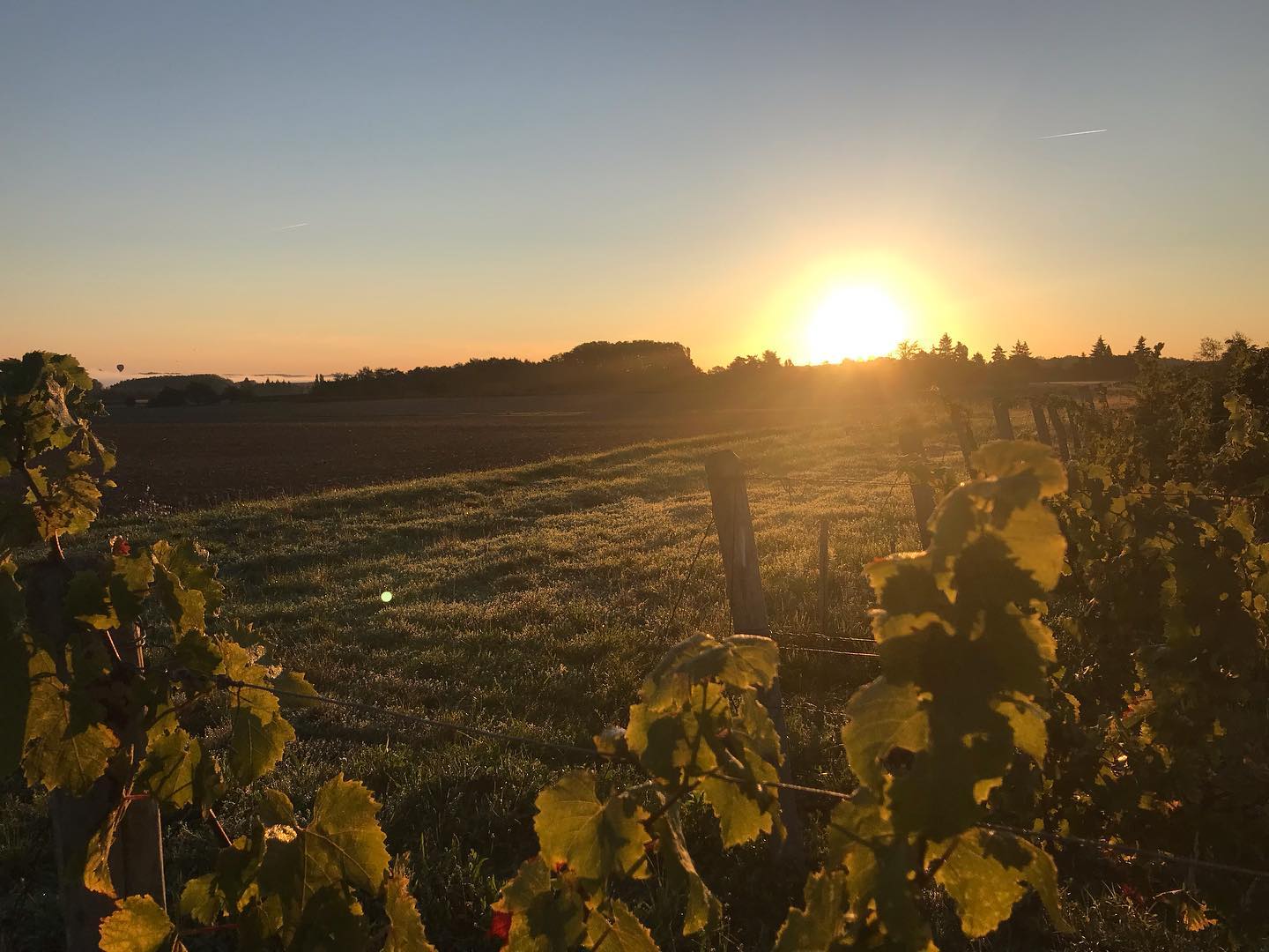 DOMAINE DE CAMBALU Degustation Vin Amboise Galerie 13