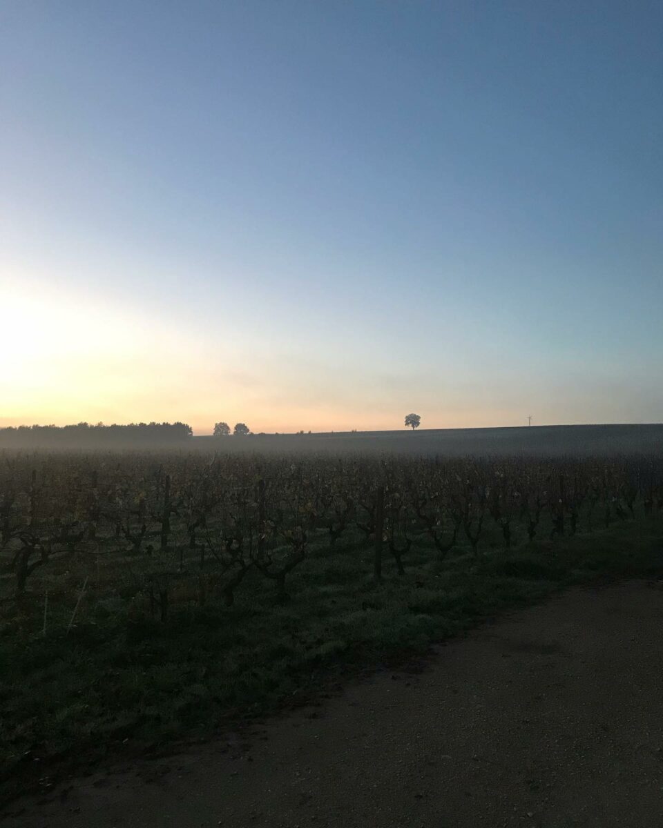 DOMAINE DE CAMBALU Degustation Vin Amboise Galerie 17