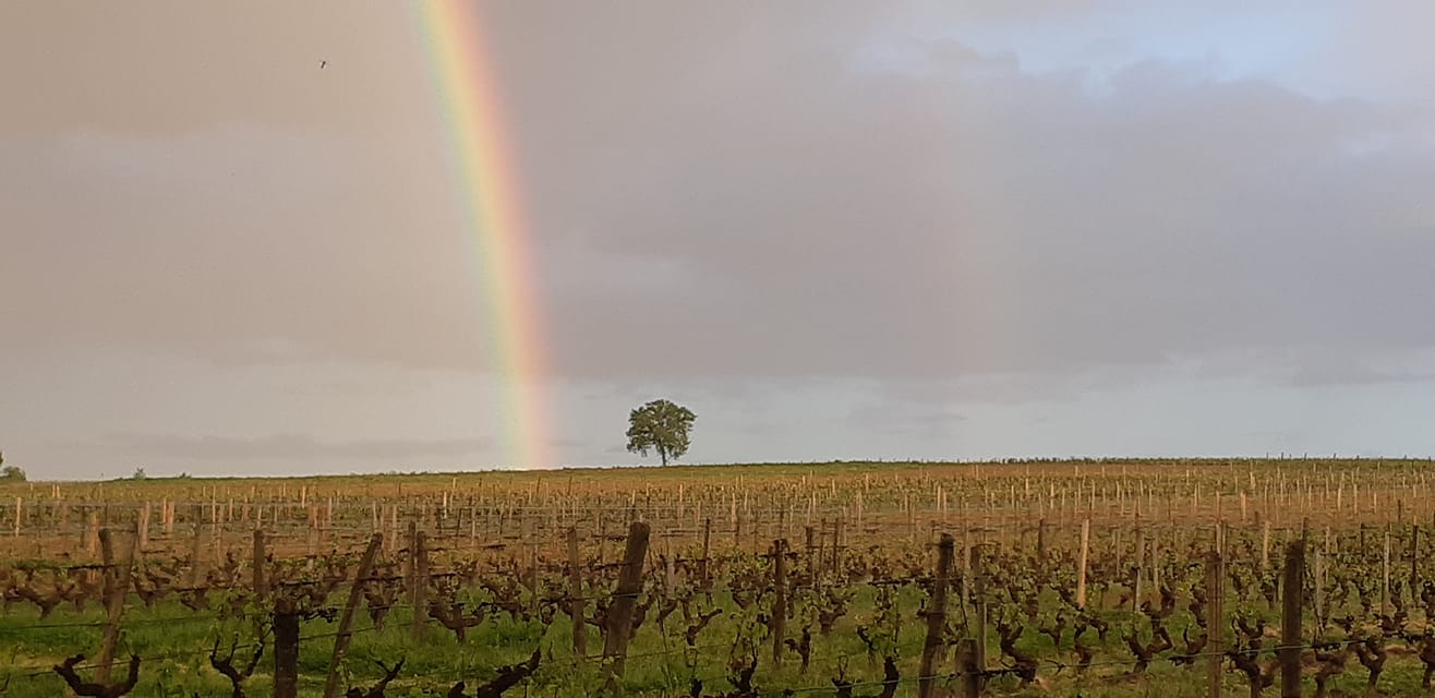 DOMAINE DE CAMBALU Degustation Vin Amboise Galerie 18