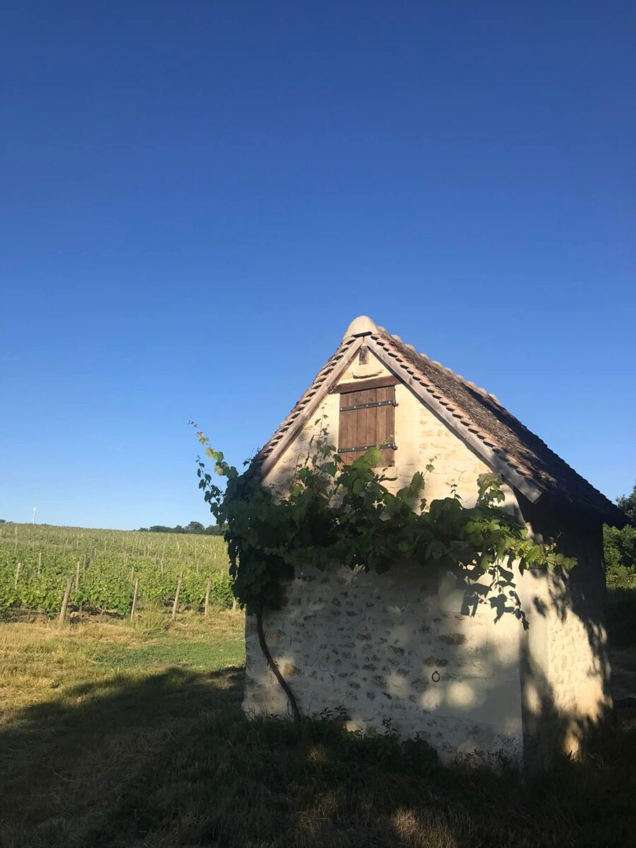 DOMAINE DE CAMBALU Degustation Vin Amboise Galerie 2