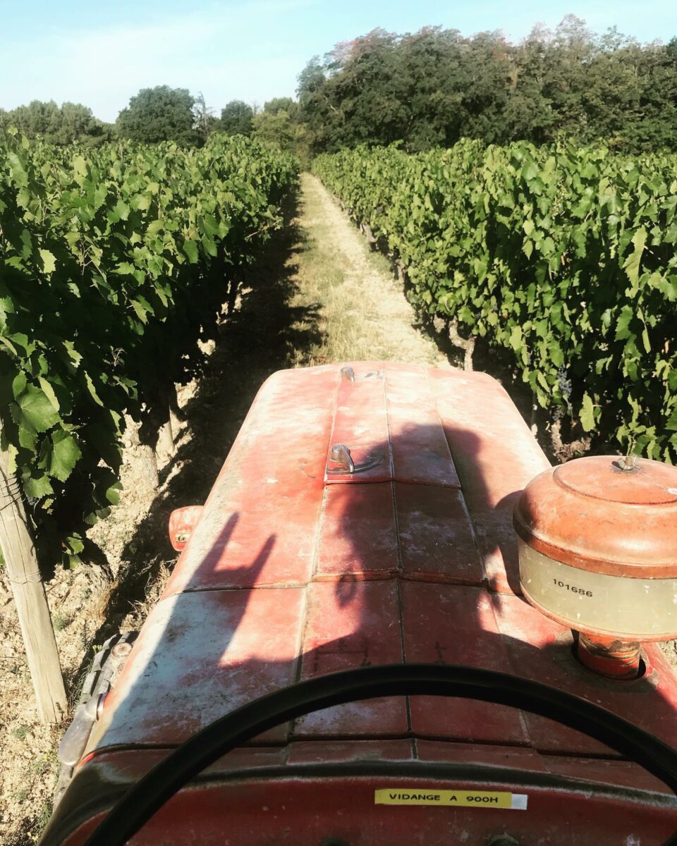 DOMAINE DE CAMBALU Degustation Vin Amboise Galerie 5