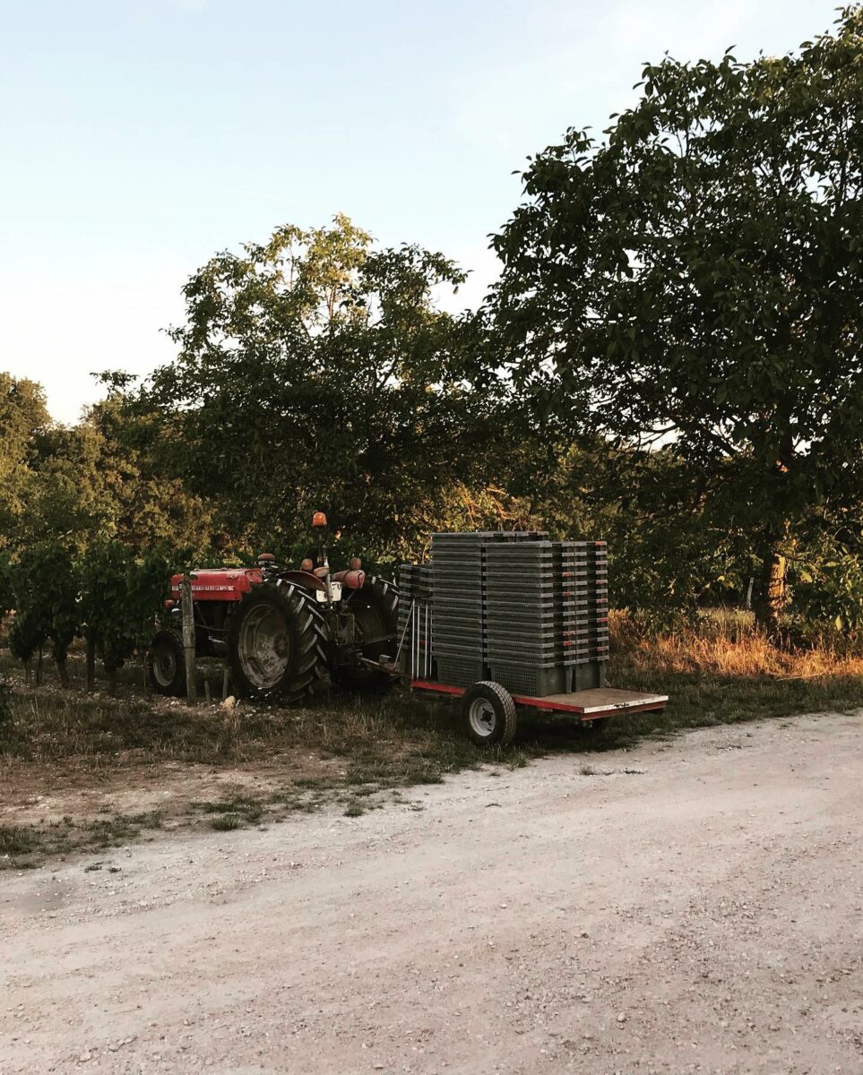 DOMAINE DE CAMBALU Degustation Vin Amboise Galerie 7